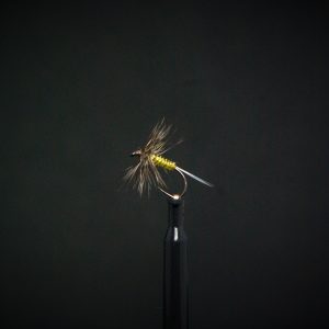 Araignée quill jaune