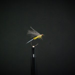 Emergente jaune