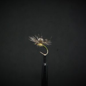 Parachute courbe olive